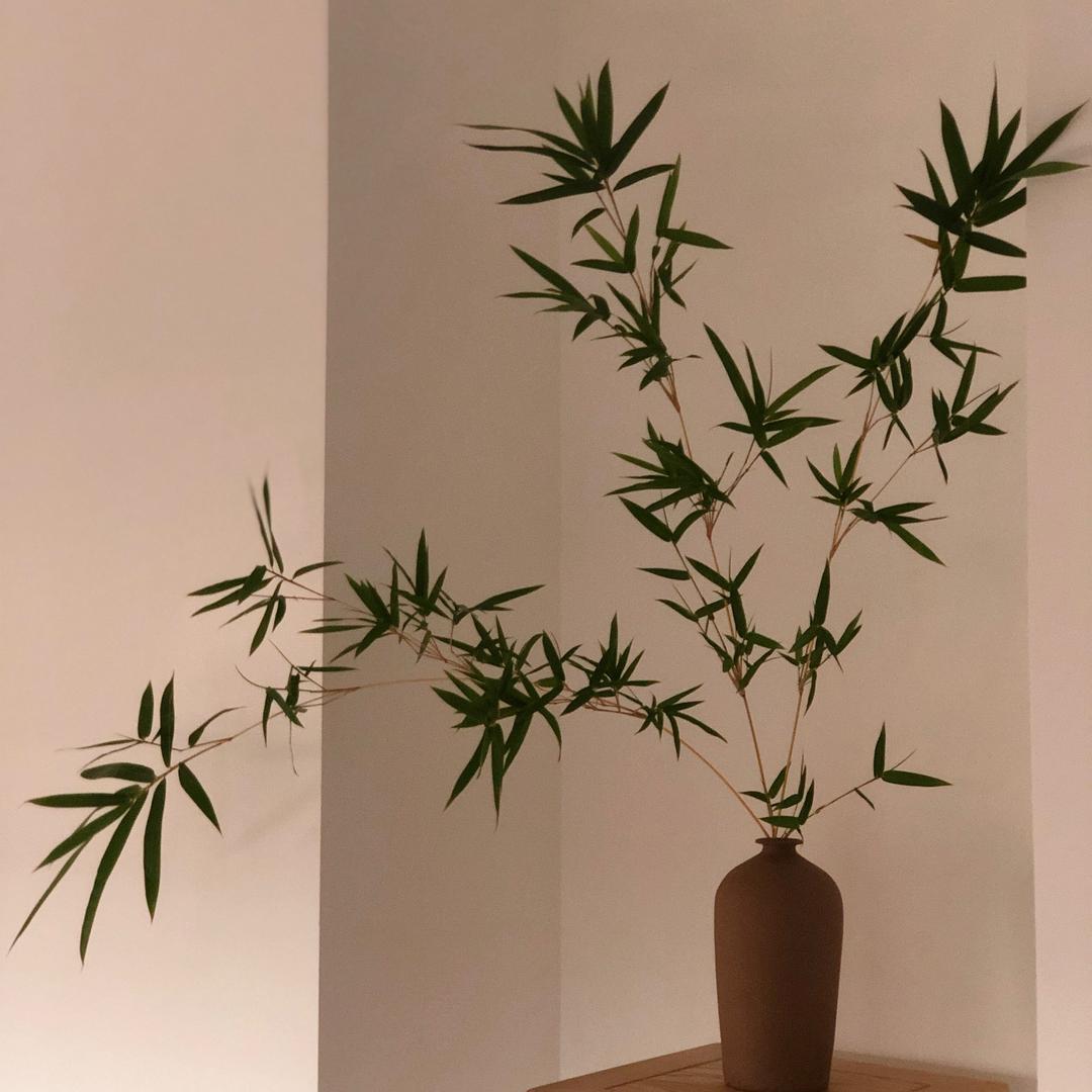 晓.琳