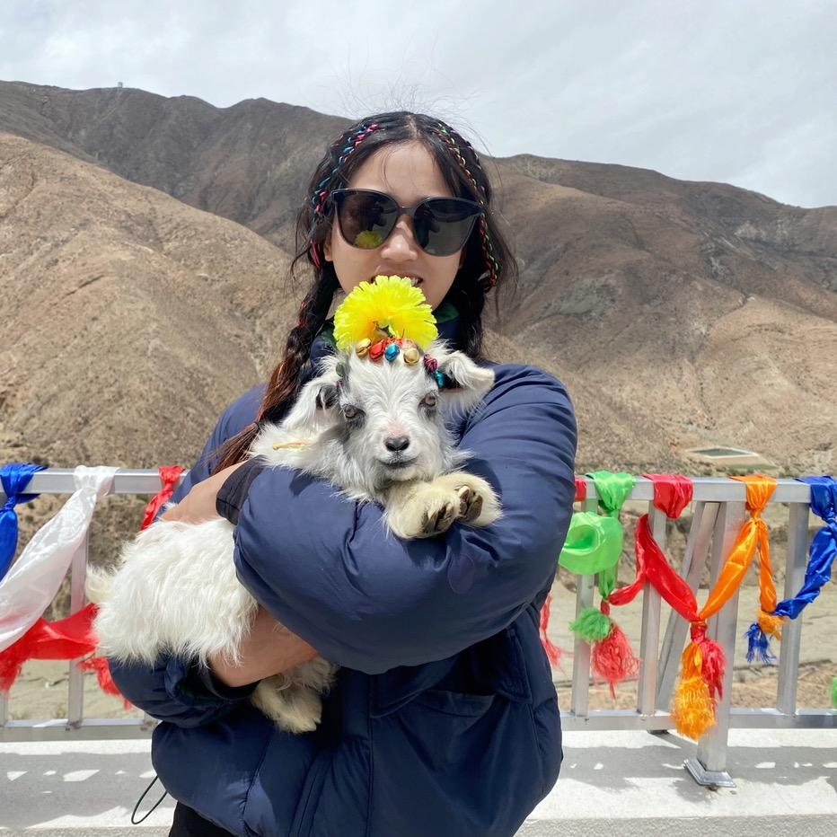 安驰专业汽车维修官方号