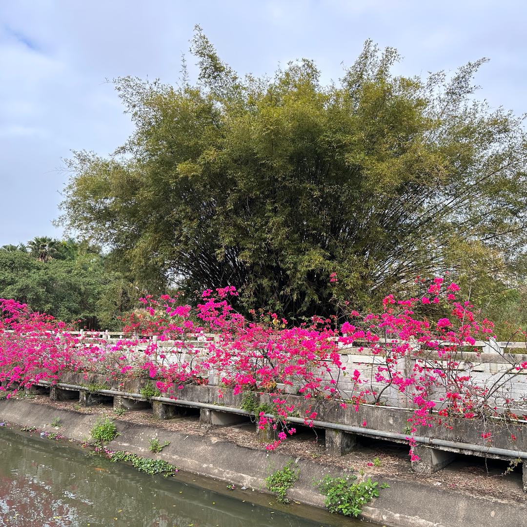 广州说房