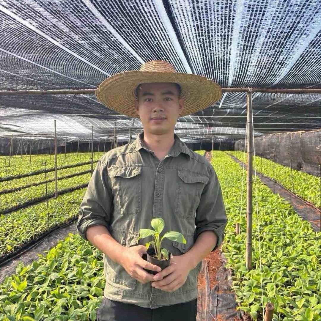 启基农业优选