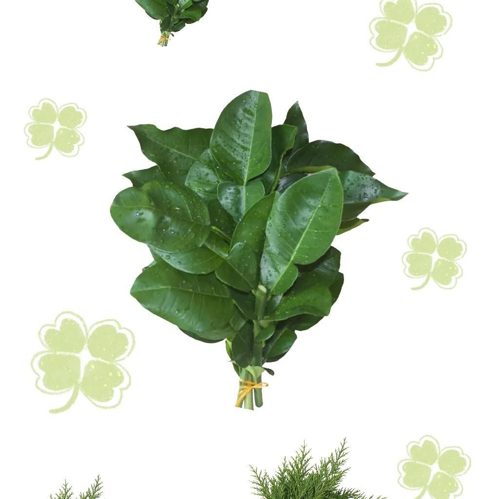 大竹化妆师吉荔（定金留档）💕
