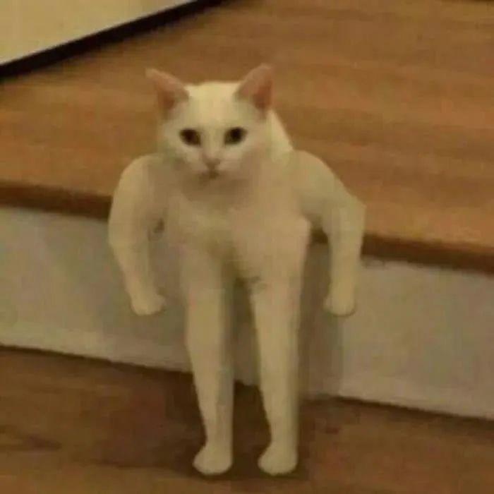 ある人