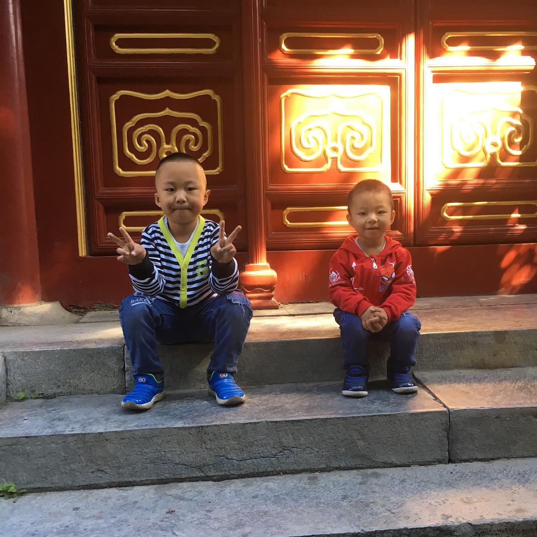 一齐高飞