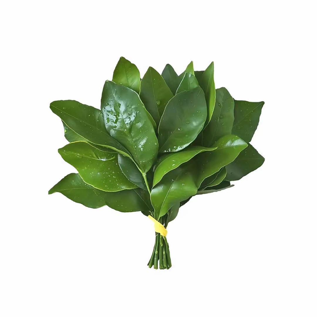 4uu