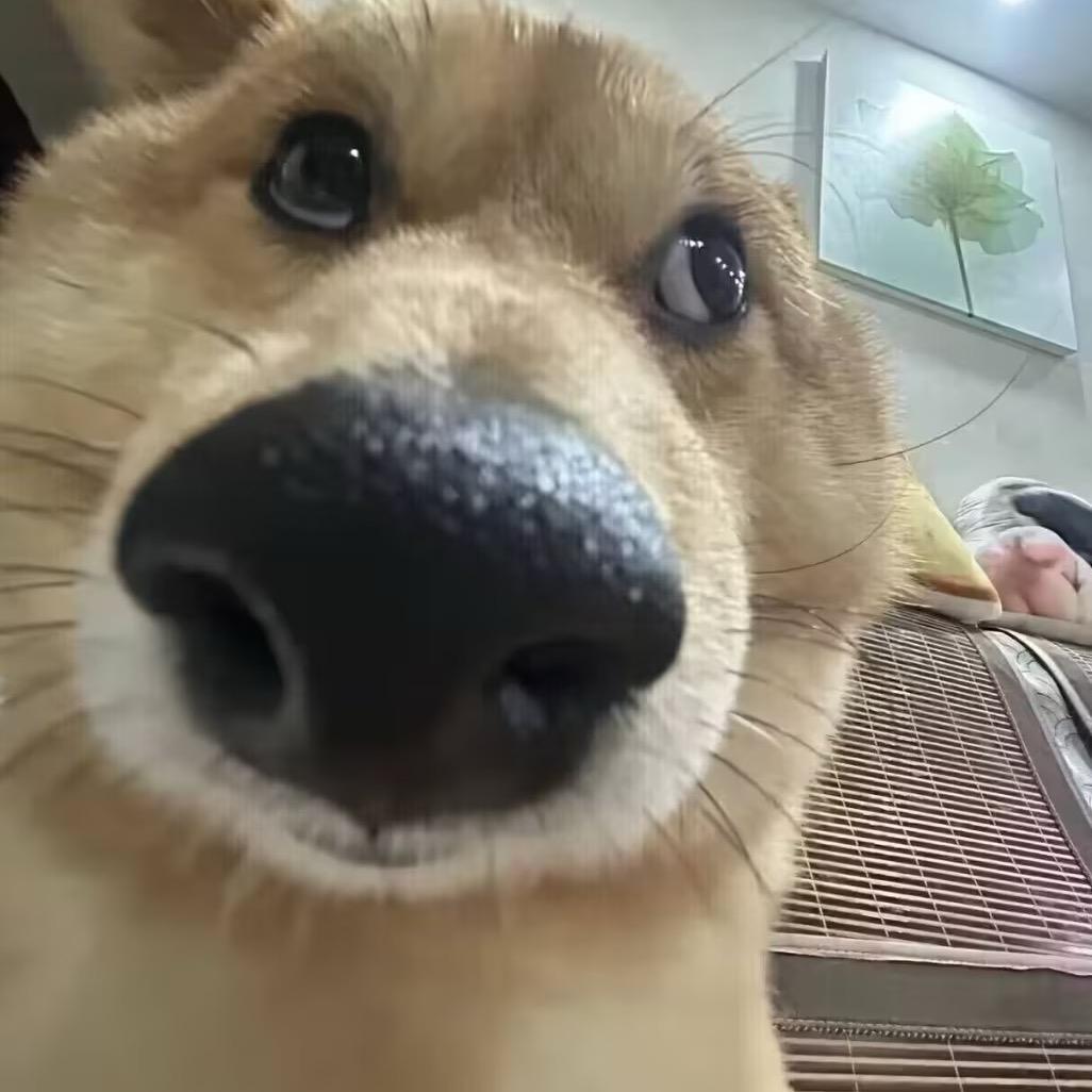 Zqhlll