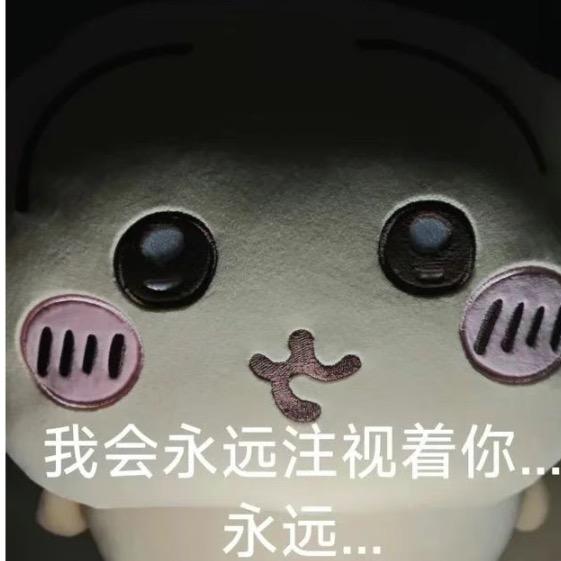 贝蒂小熊
