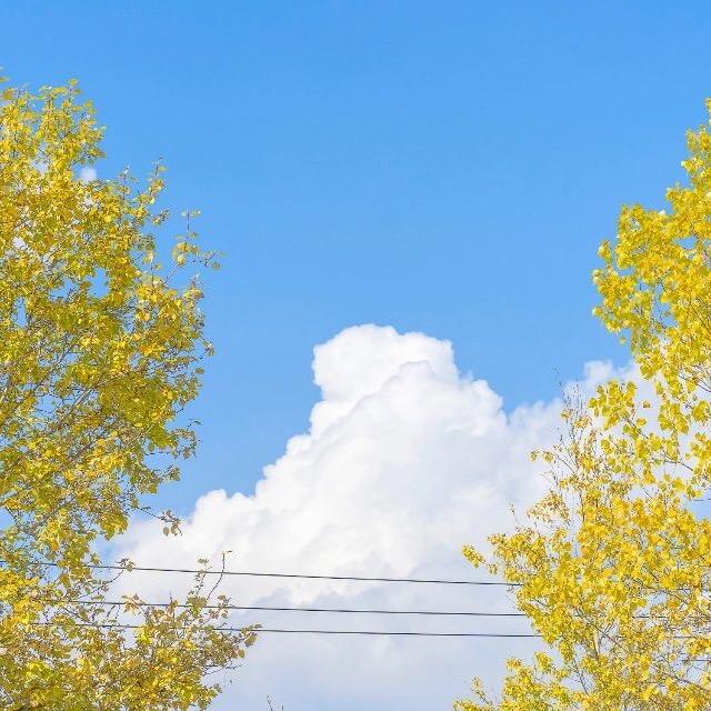 代老师故事