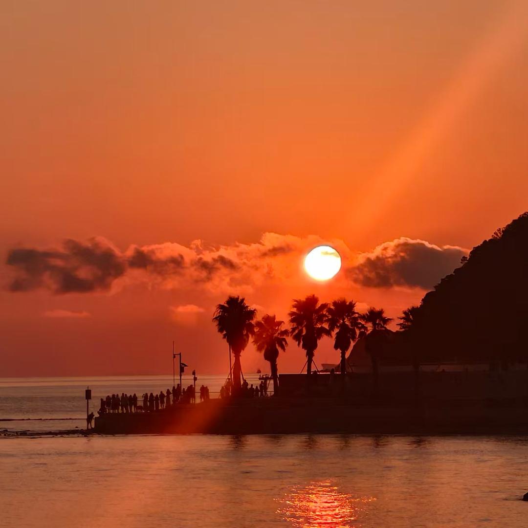 爱吃鱼的猫（emo 版）