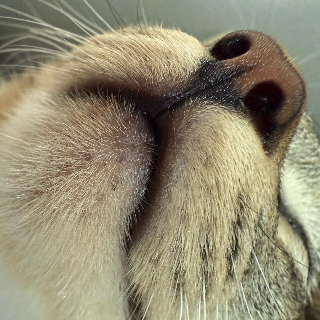 虫子不吃豆 ⋆｡˚