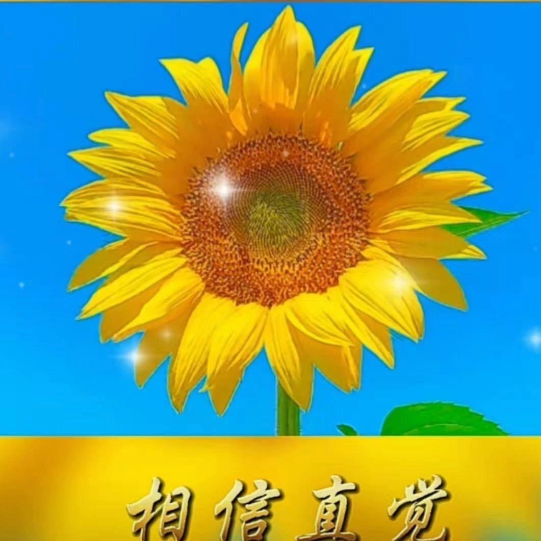 通灵心灵疗愈