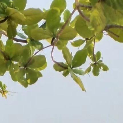 嗯😐挺好