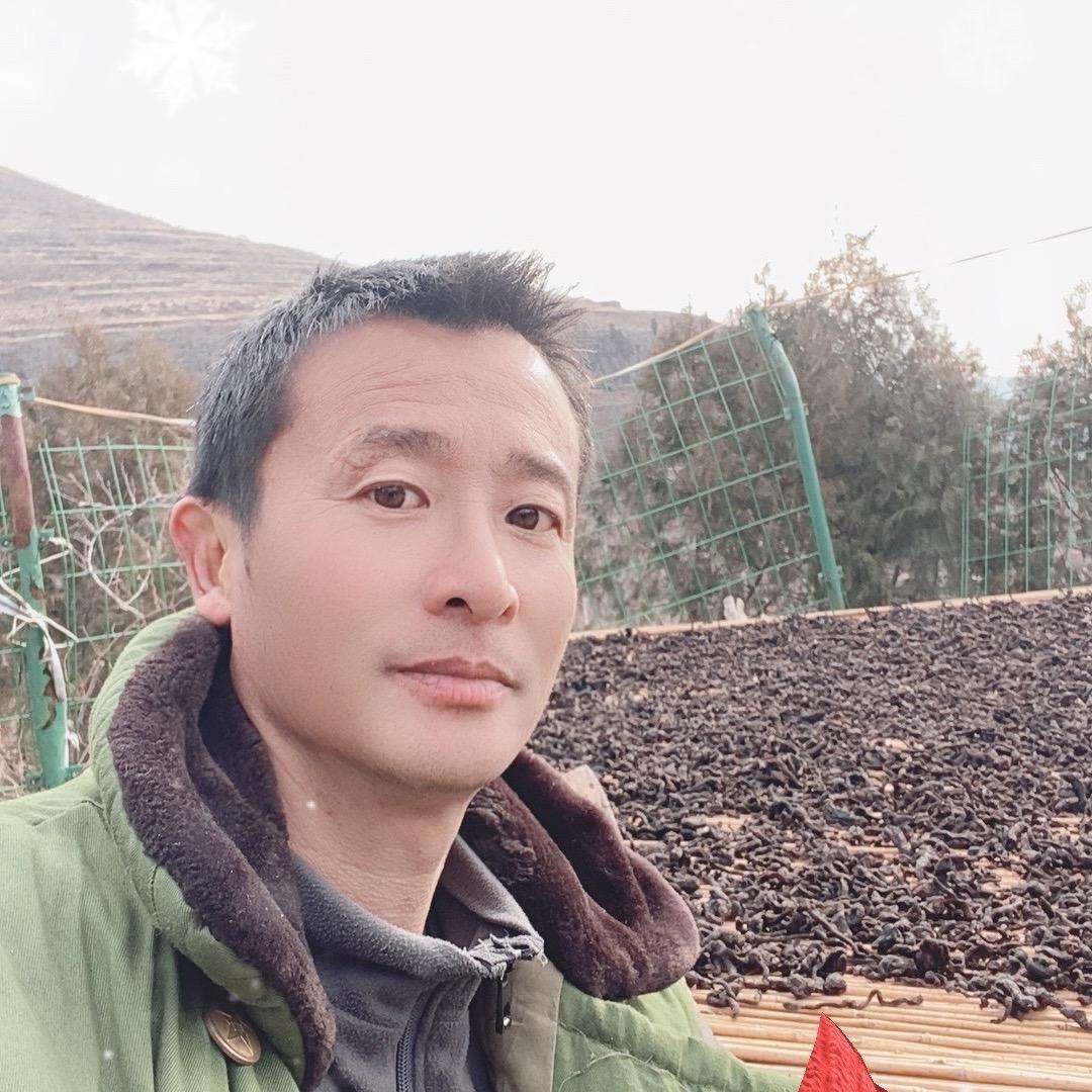 二哥黄精(3)