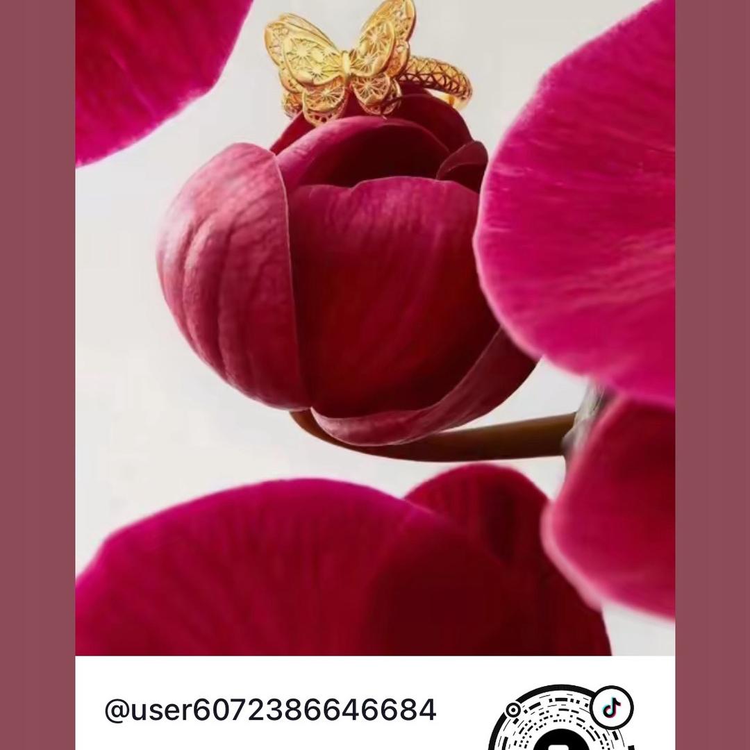 user6072386646684