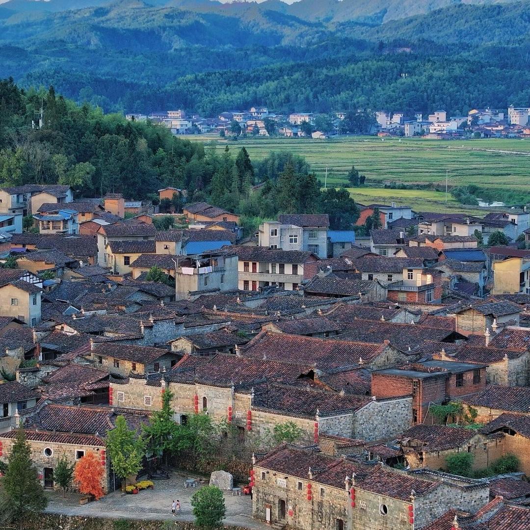 球球饱了没