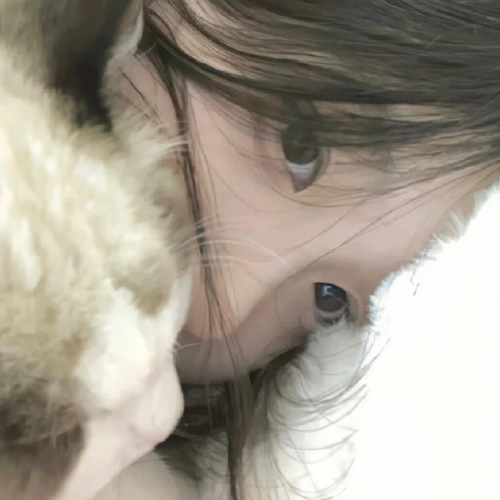 七七suki.