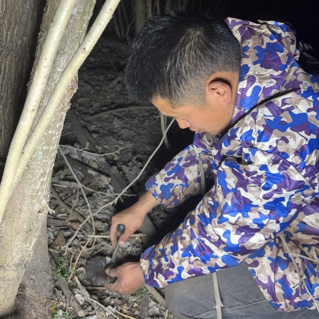 赶山人小强
