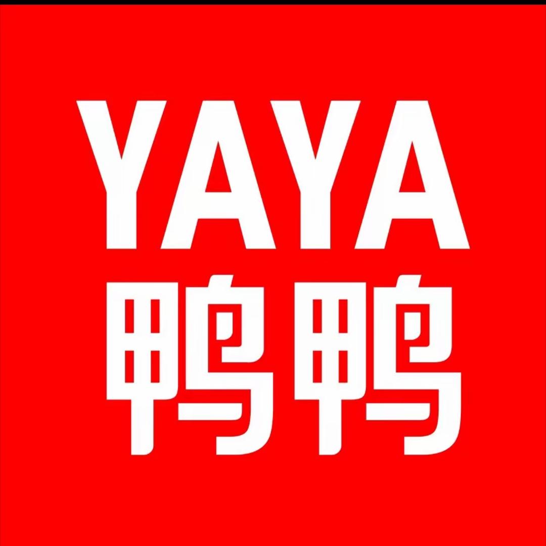 鸭鸭男装时尚羽绒服