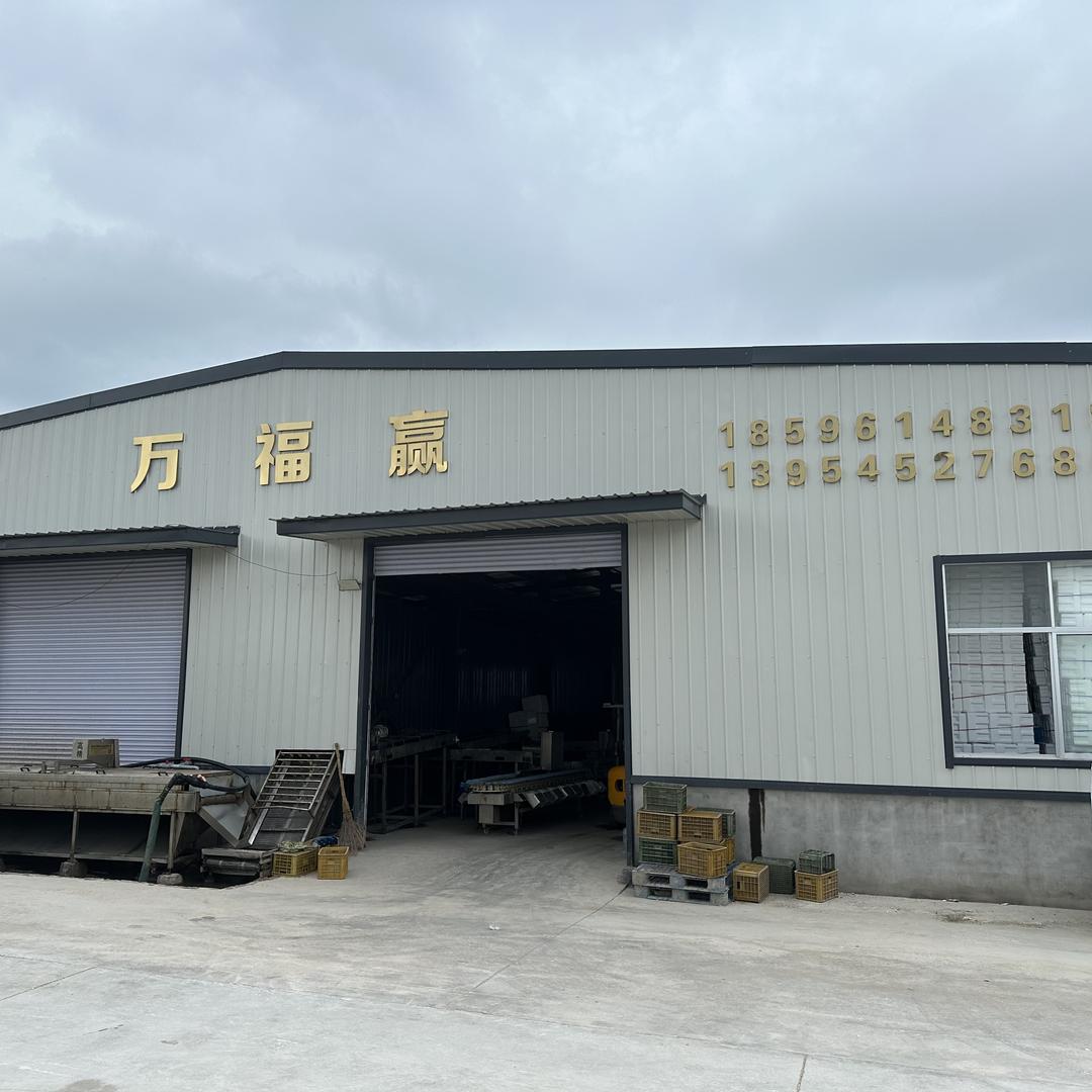 万福赢乳山生蚝加工厂
