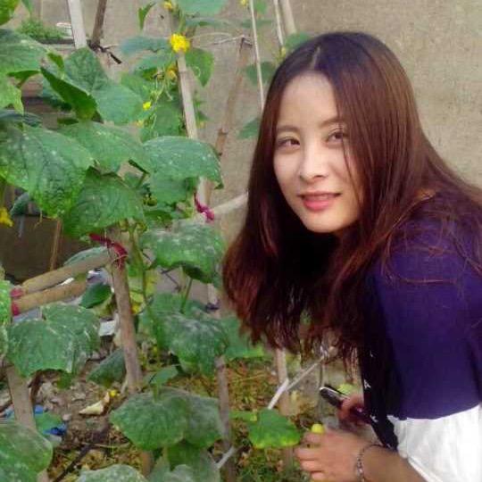 不当韭菜