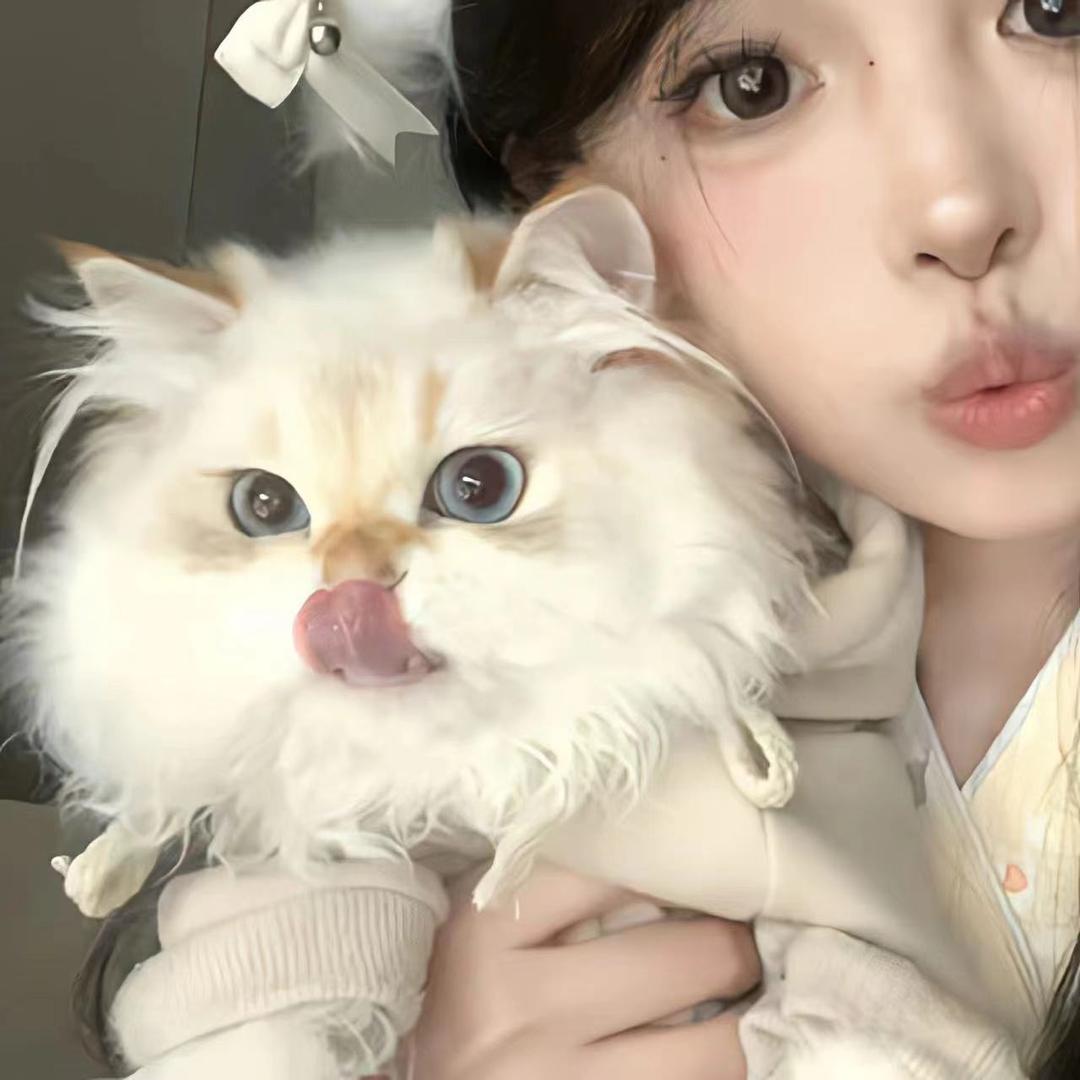 成长简史