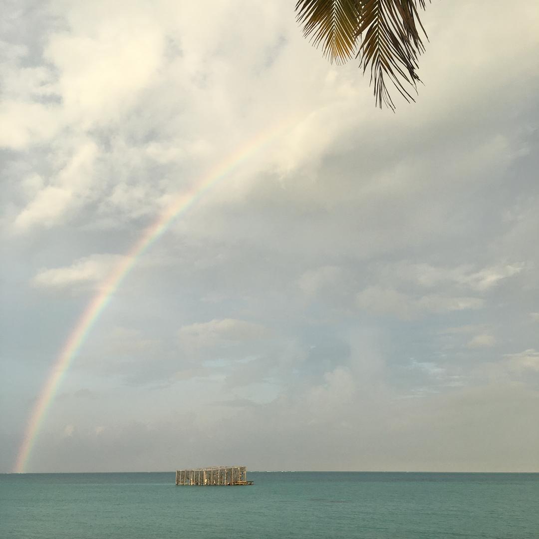 陈大毛299逢酒遇知己