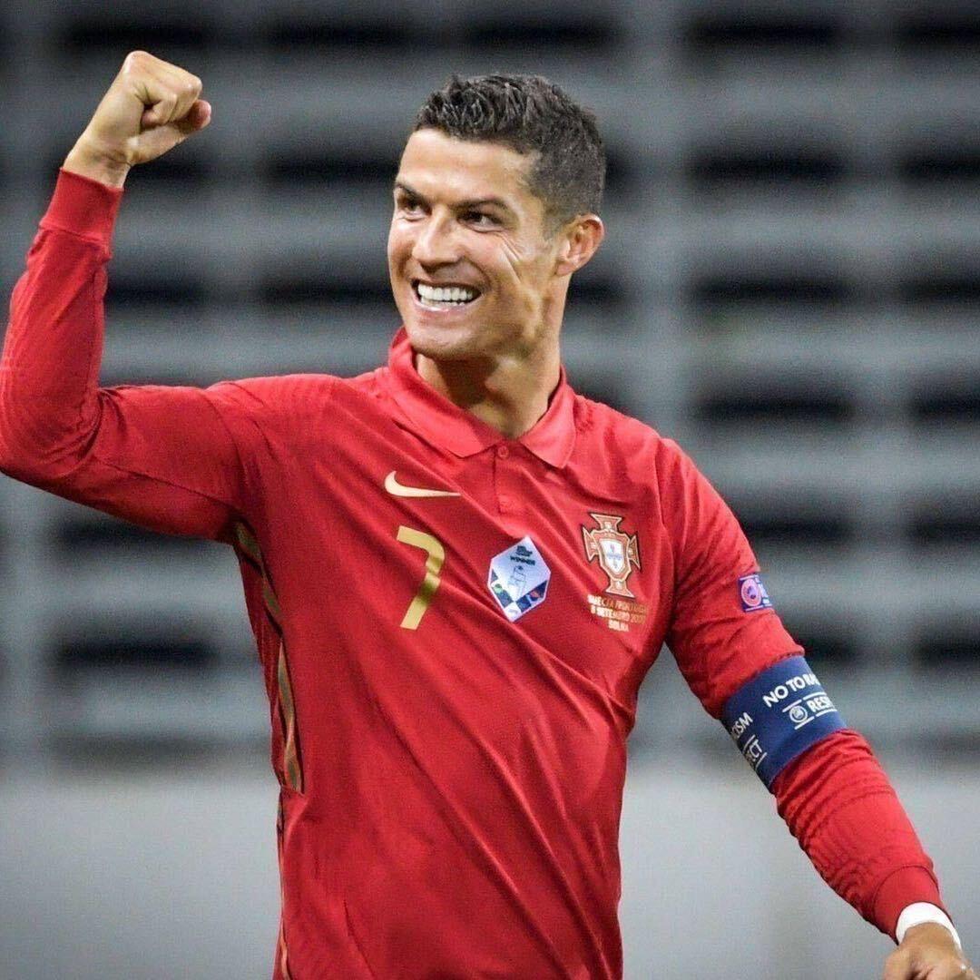 海南高端观赏鸡繁育基地