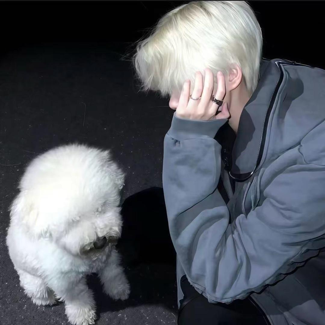 🌈小猫.🐱（登船版）