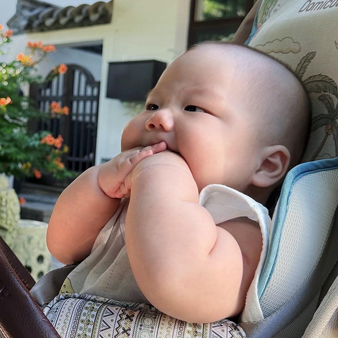 小磊子