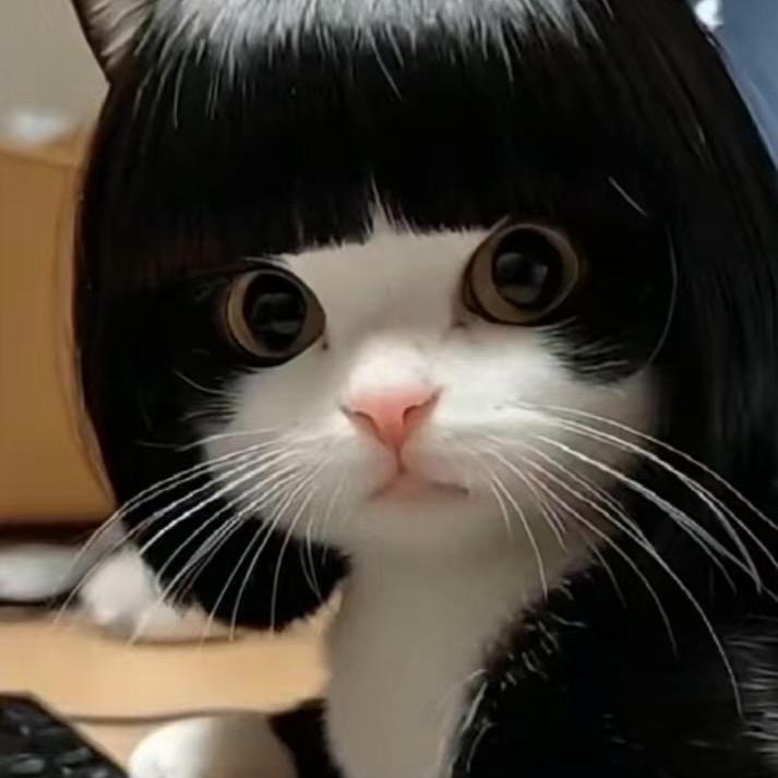朵朵