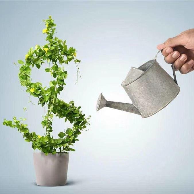 🌷未来可期🌷