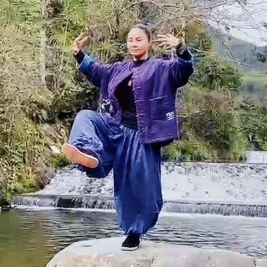 大成拳站桩