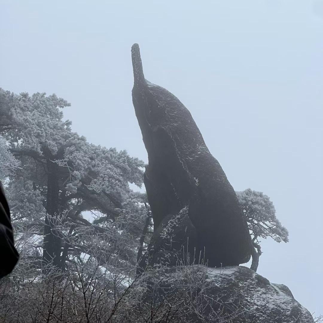 浪子