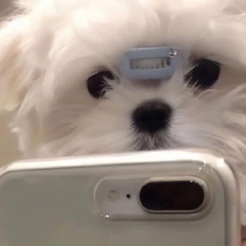 我不想睡觉ღ（减肥版）