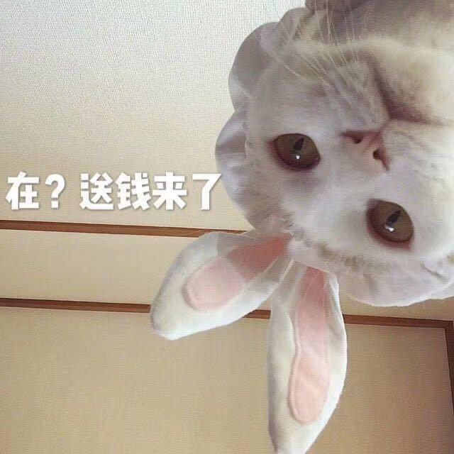 幸福寿司