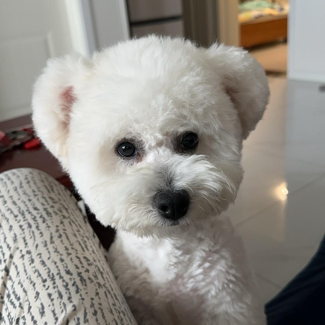 你的面包在这啊