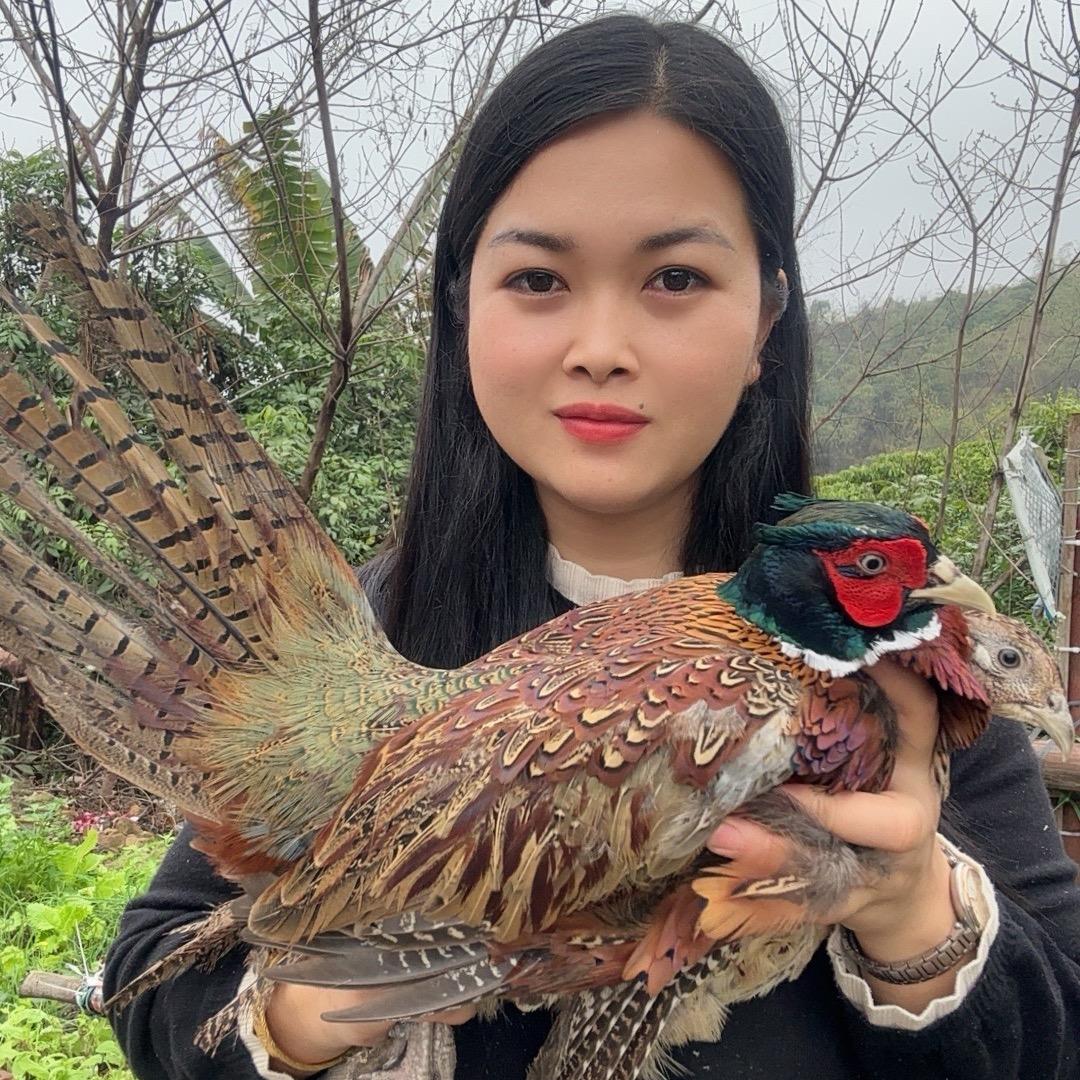 蘑菇妹
