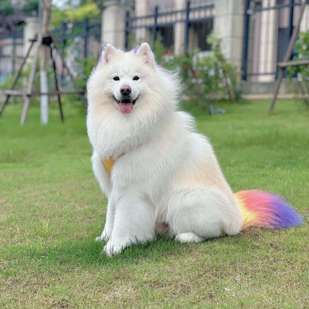 心中有甜（田）