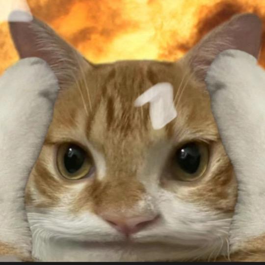 mc点点头🐰