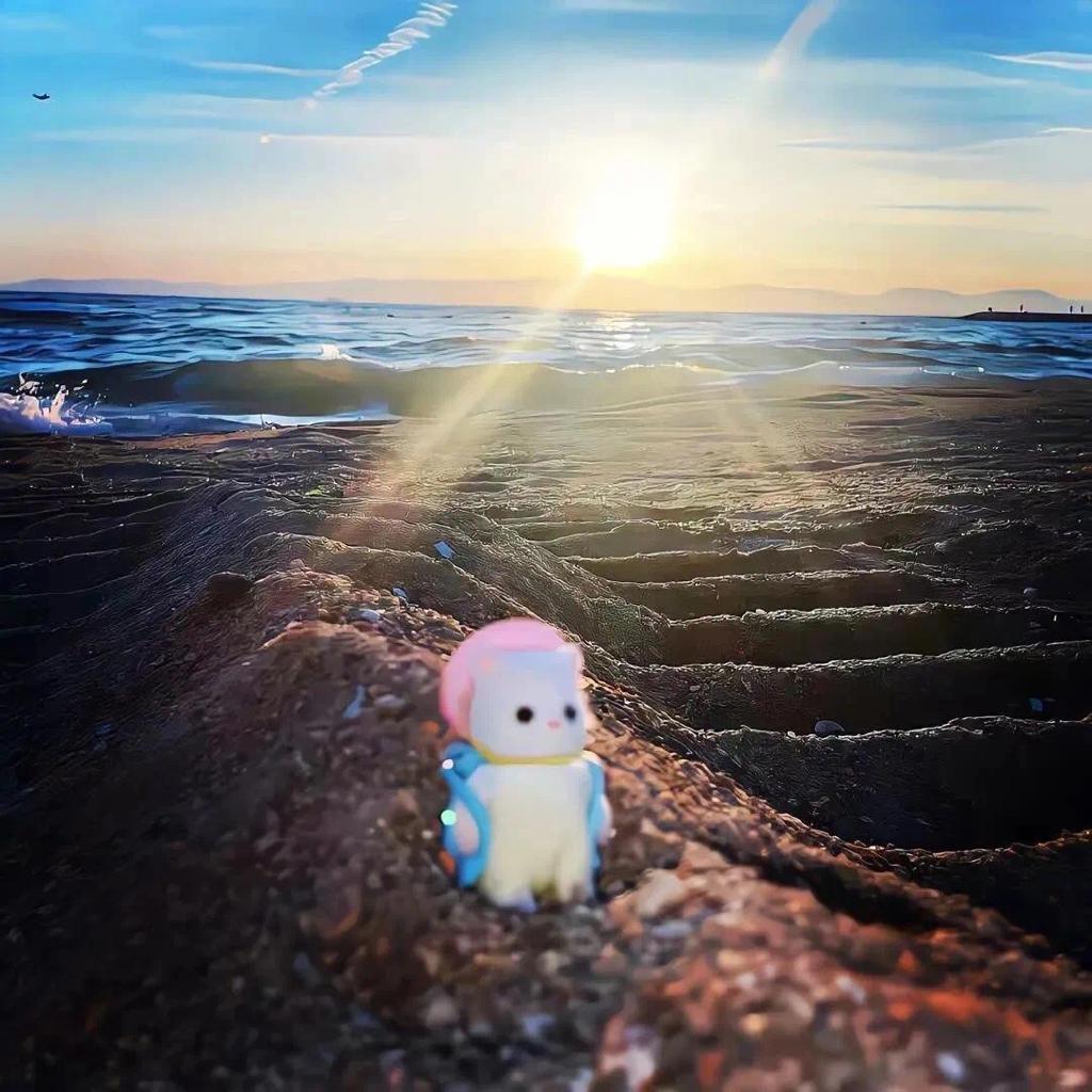 十二点半准时睡觉