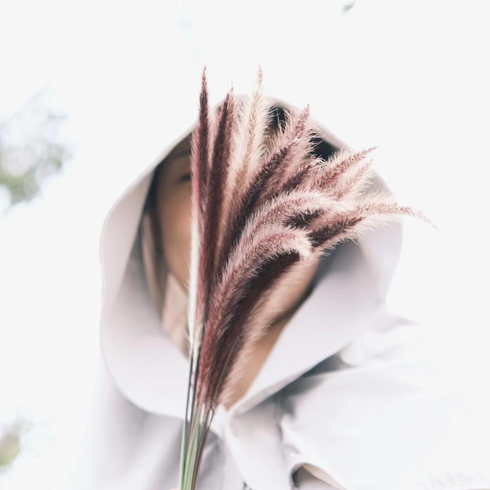 小菲侠