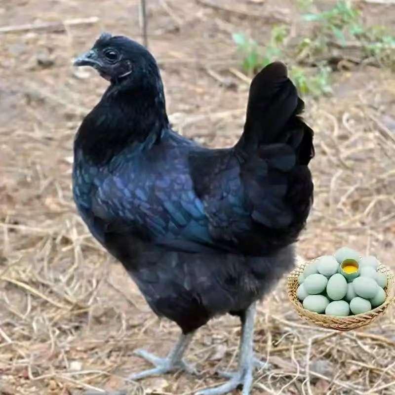 福满田农家小铺