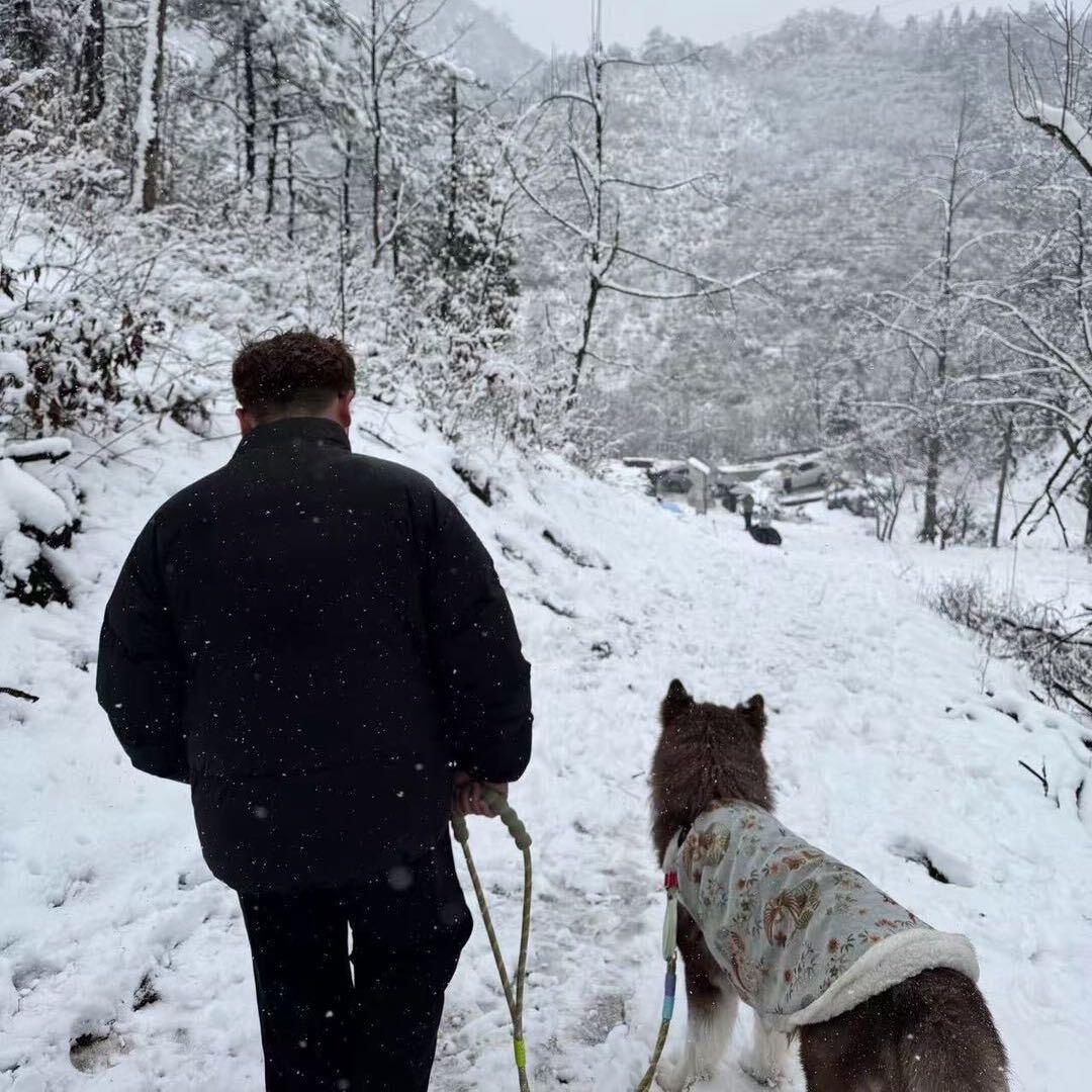 Ronin（有很多小破车版）