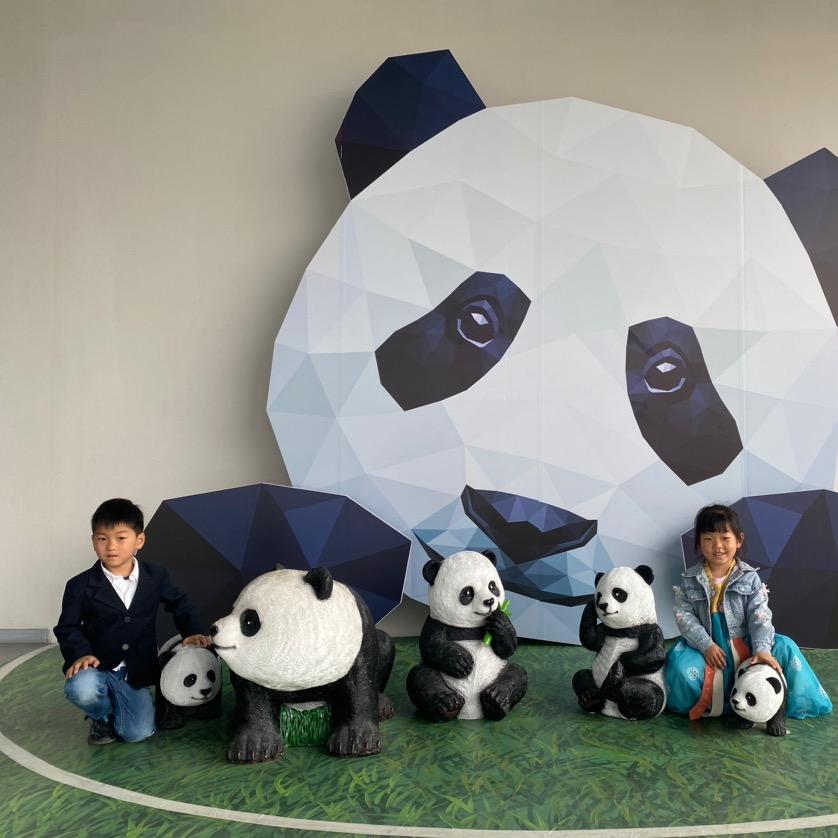 知语知言成长记