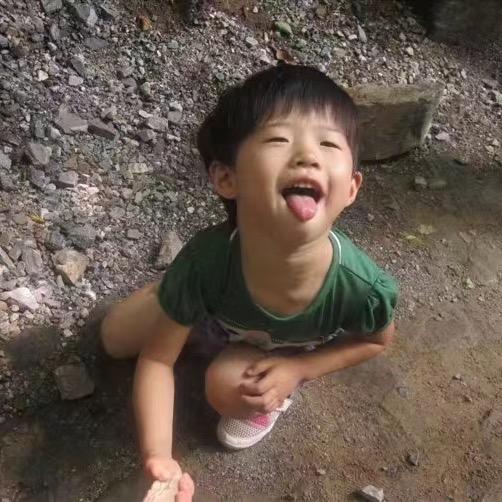 高启乔