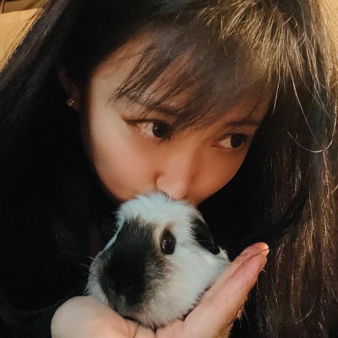 我家猪仔的故事。