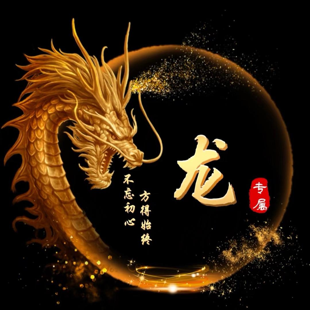 上海岚图梦想家车队！！！