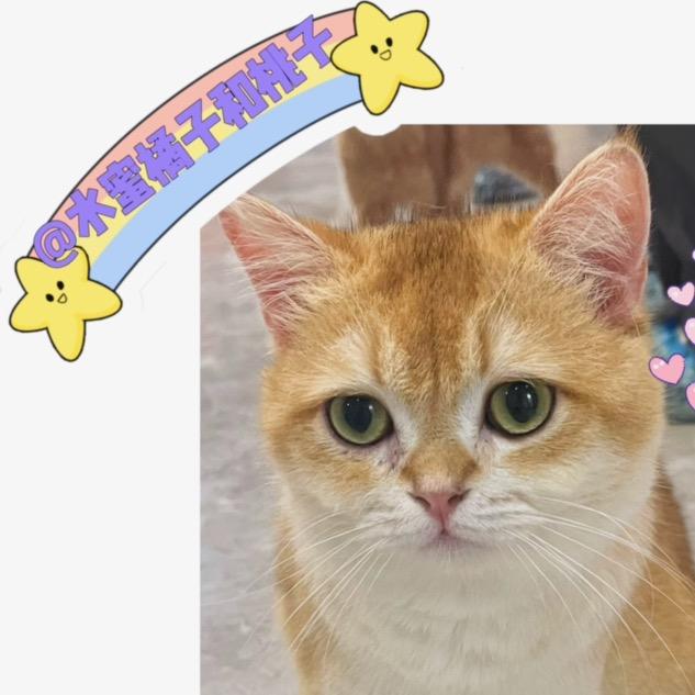 水蜜桃子和橘子