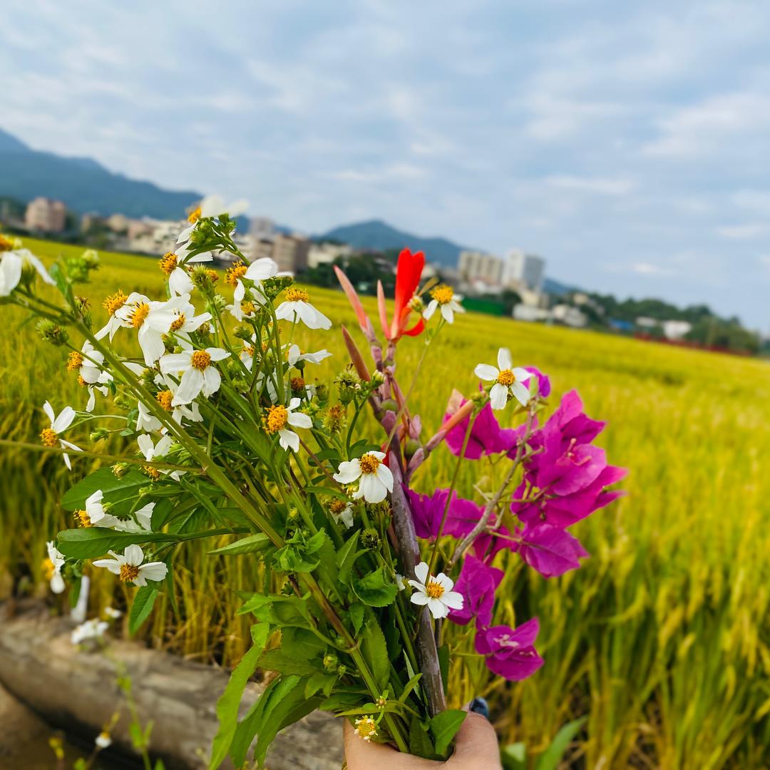 小雪 美容养生眉眼唇