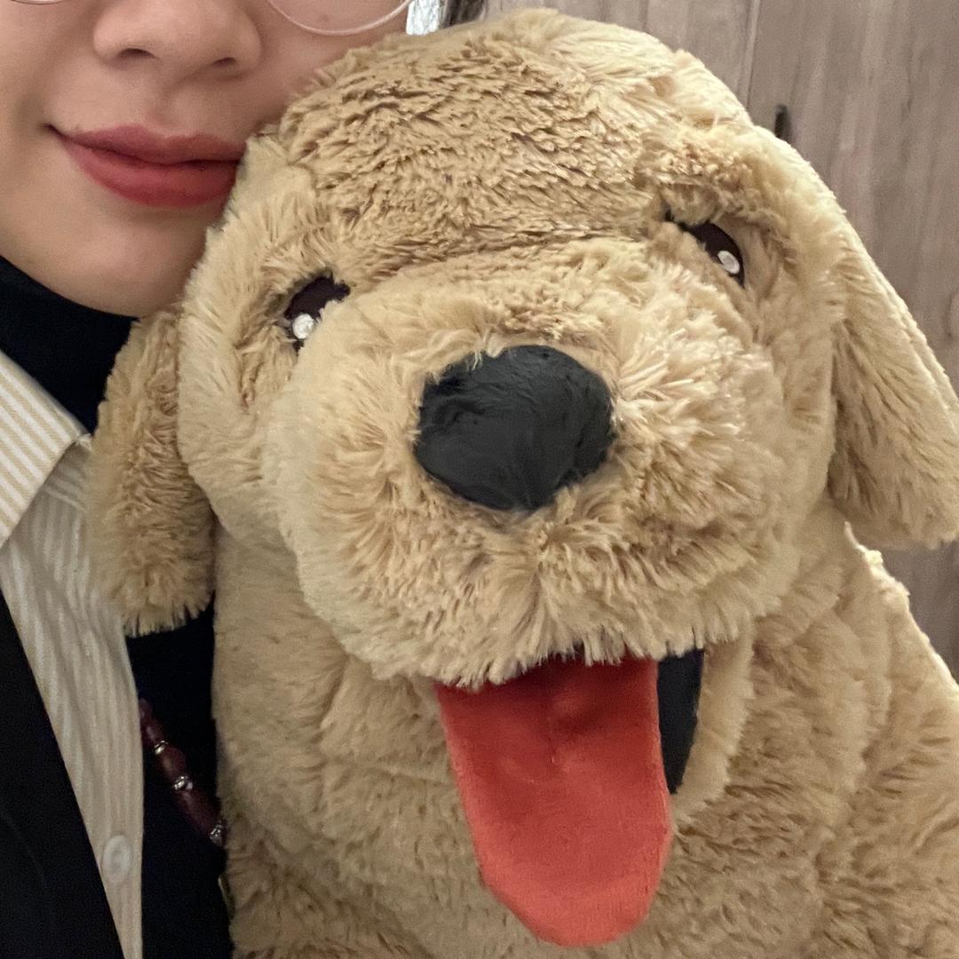 是廿廿不是小牛