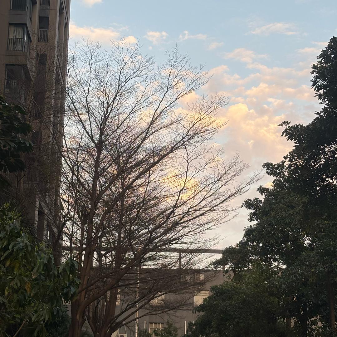 不想说话